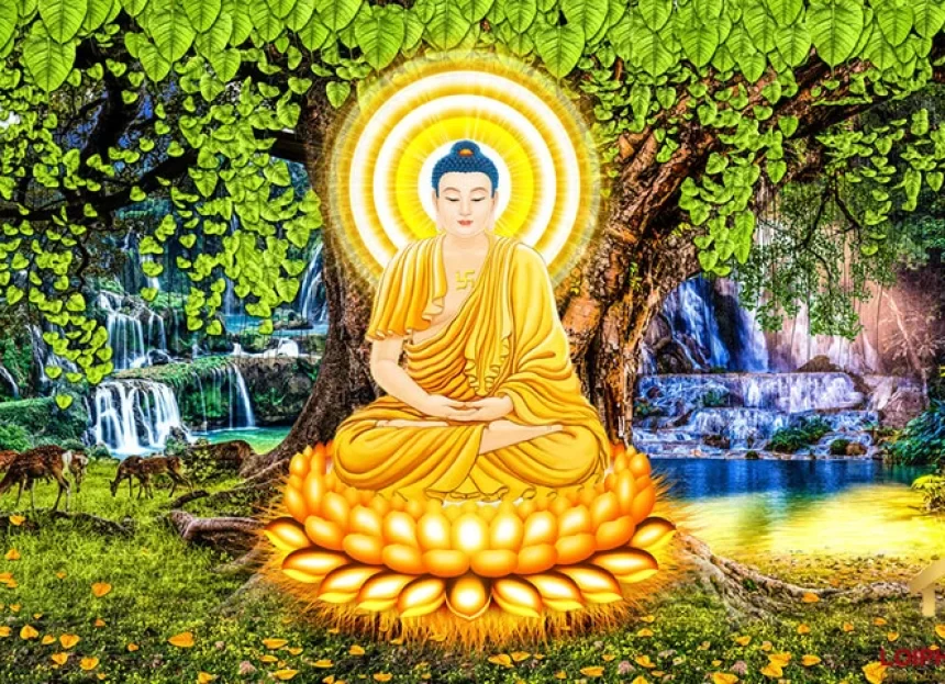 Bước đầu học Phật: Giác ngộ Pháp gì ứng dụng tu Ngũ thừa trong Phật giáo?