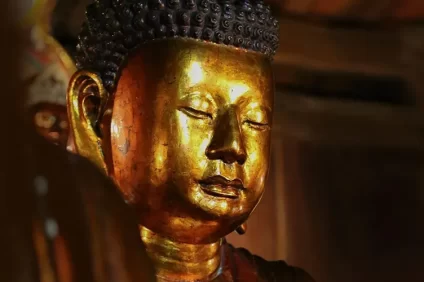 Phật tính trong cây dâu tằm